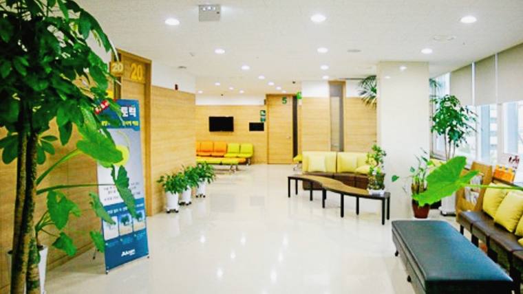 경주성모안과의원 — 식물과 소파가 배치된 병원 내 대기실의 내부 전경
